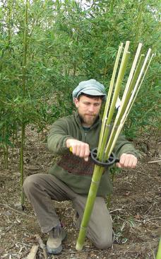 Matthew English, Bamboo Artisan