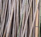 Bamboo Poles bamboobranch.com